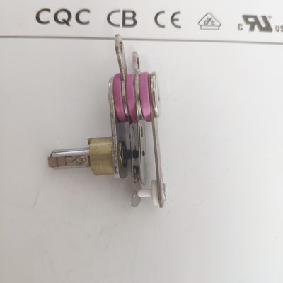電動蒸気プレス 機械調節可能な温度調節装置 50-250